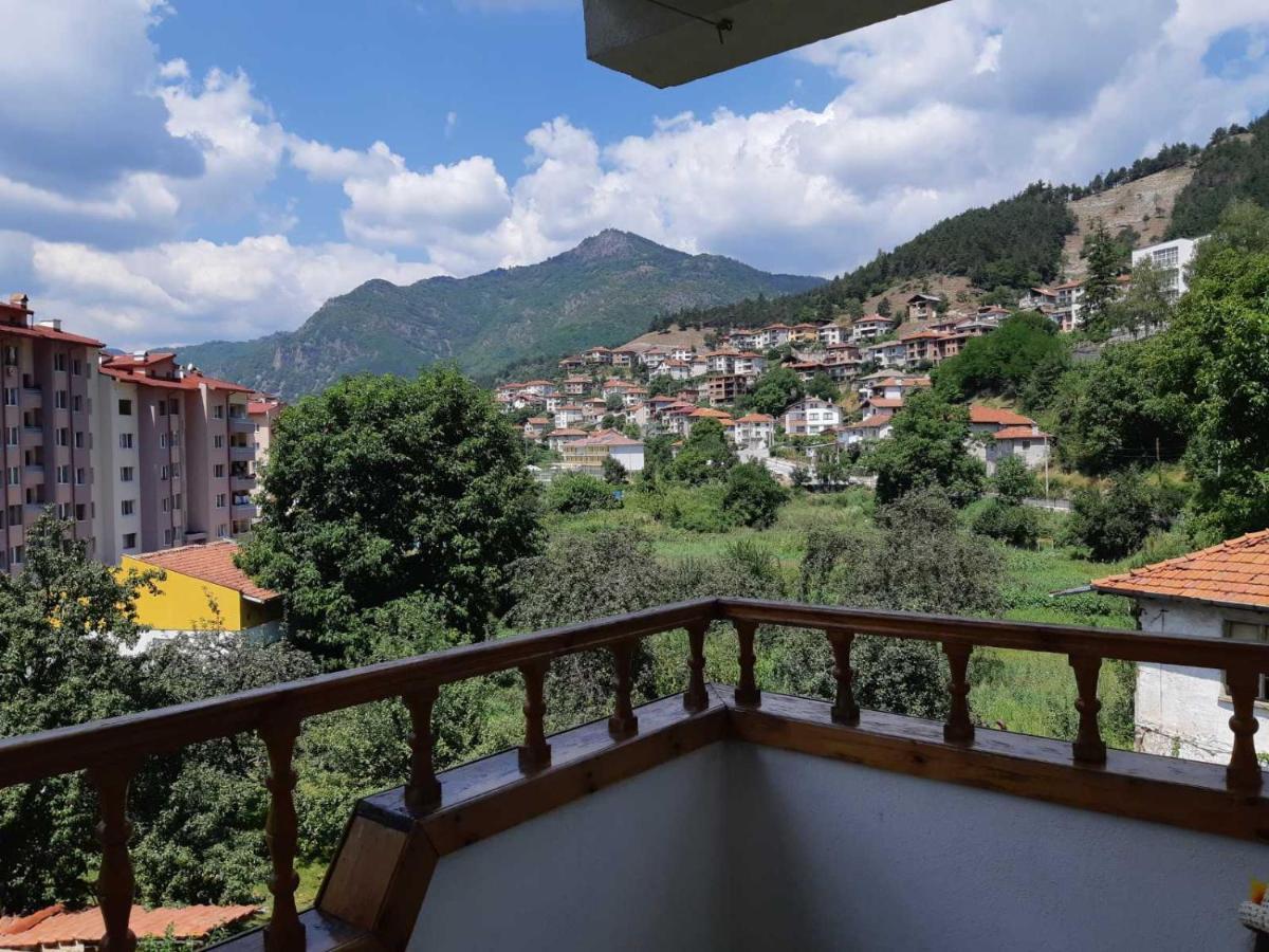 Къща Томови,Стаи За Гости Devin Exterior photo